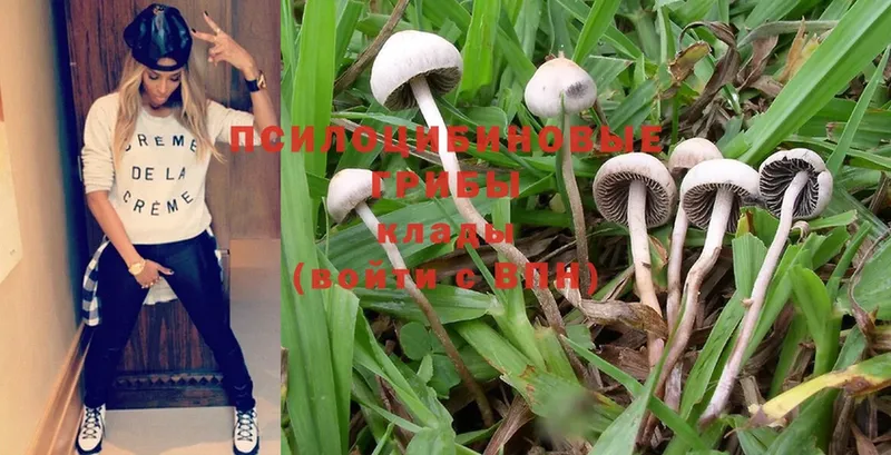 Псилоцибиновые грибы MAGIC MUSHROOMS  hydra ТОР  Вилючинск  цена  